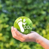Role of Facility Management Companies in Carbon Footprint Reduction 