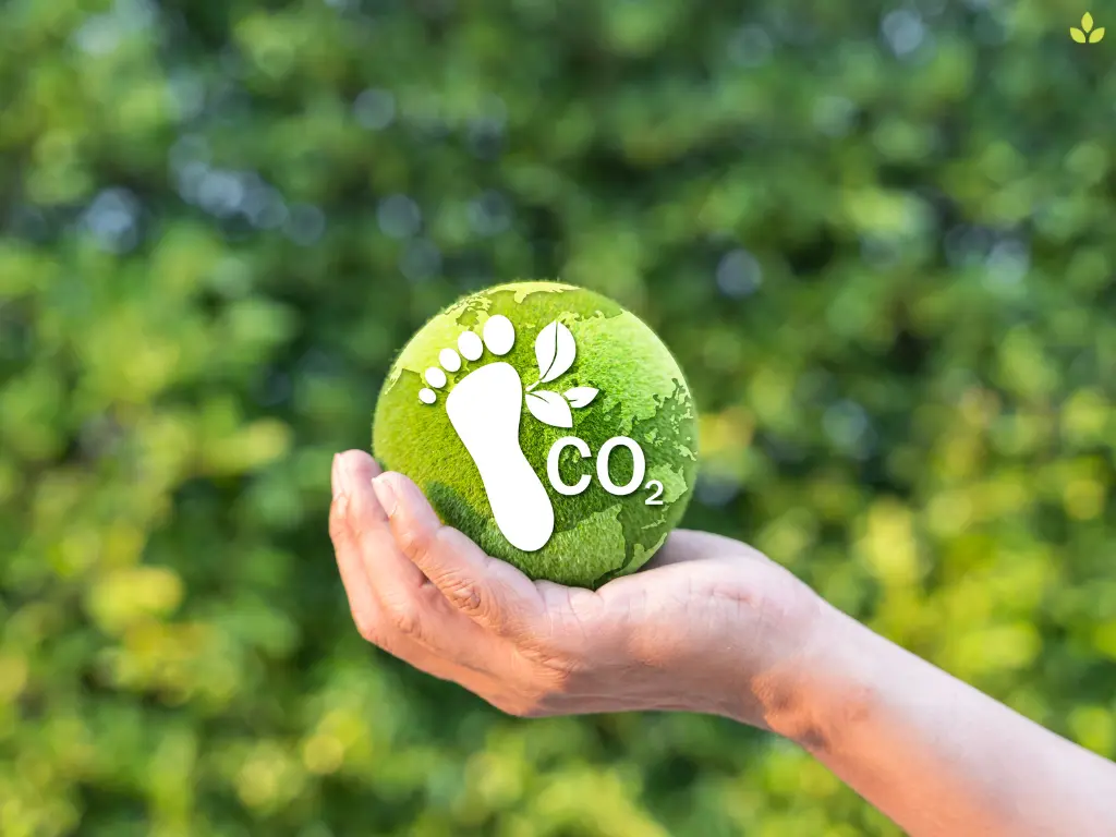 Role of Facility Management Companies in Carbon Footprint Reduction